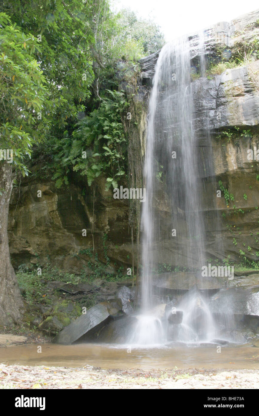 Sheldrick falls, Shimba Hills National Reserve, Kenya Banque D'Images