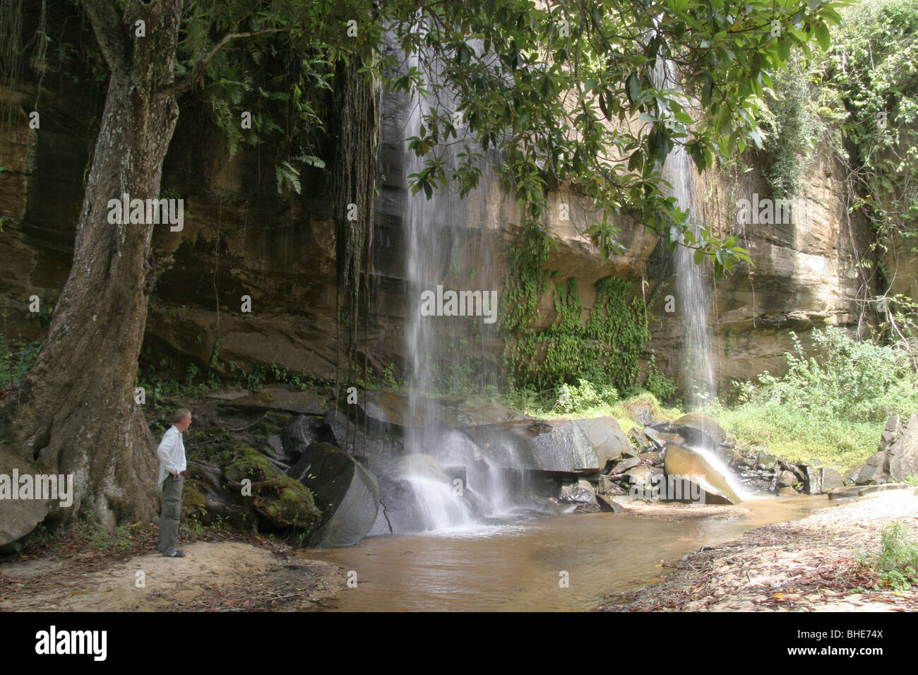 Sheldrick falls, Shimba Hills National Reserve, Kenya Banque D'Images