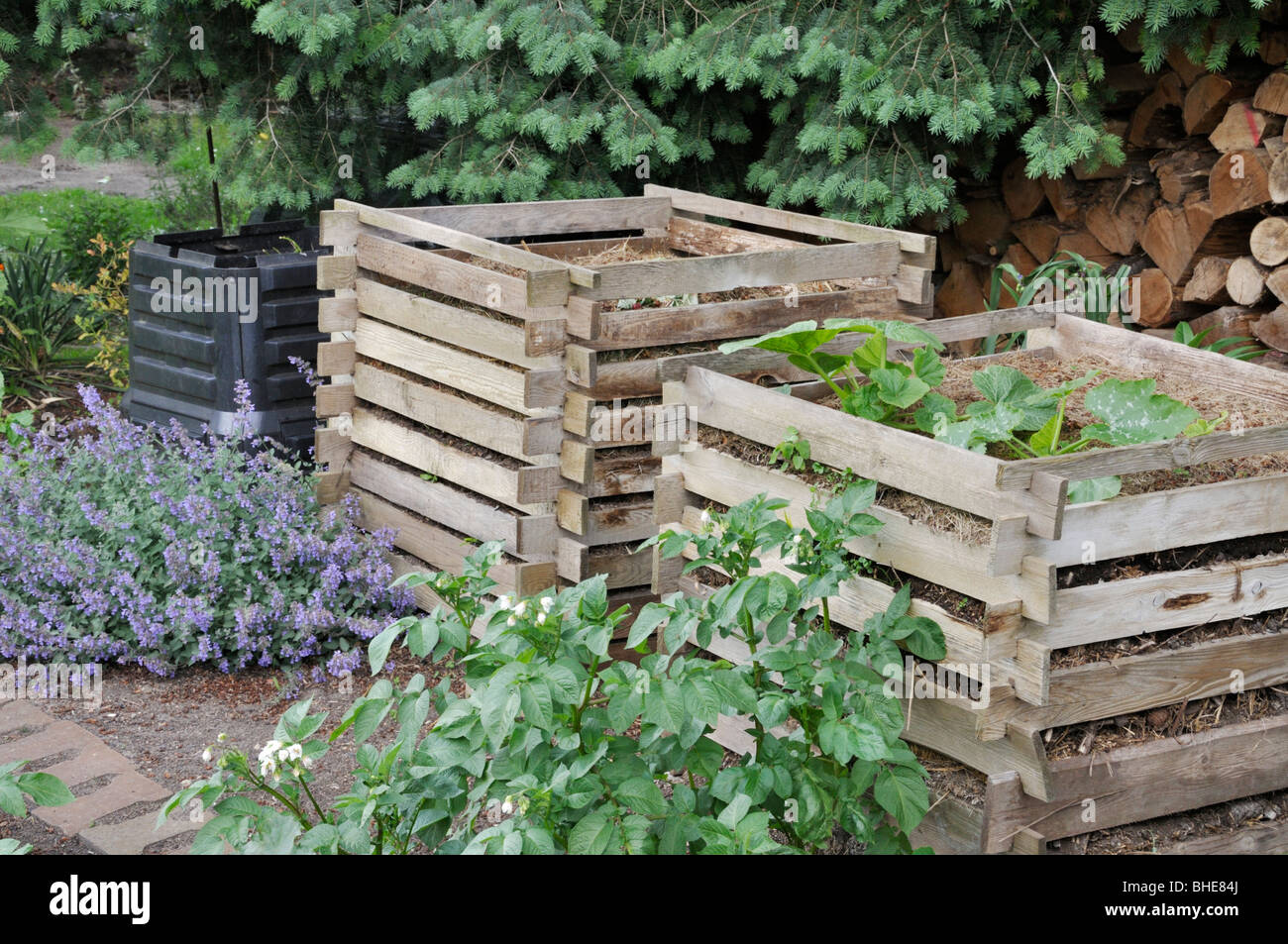 Bac à compost en bois Banque D'Images
