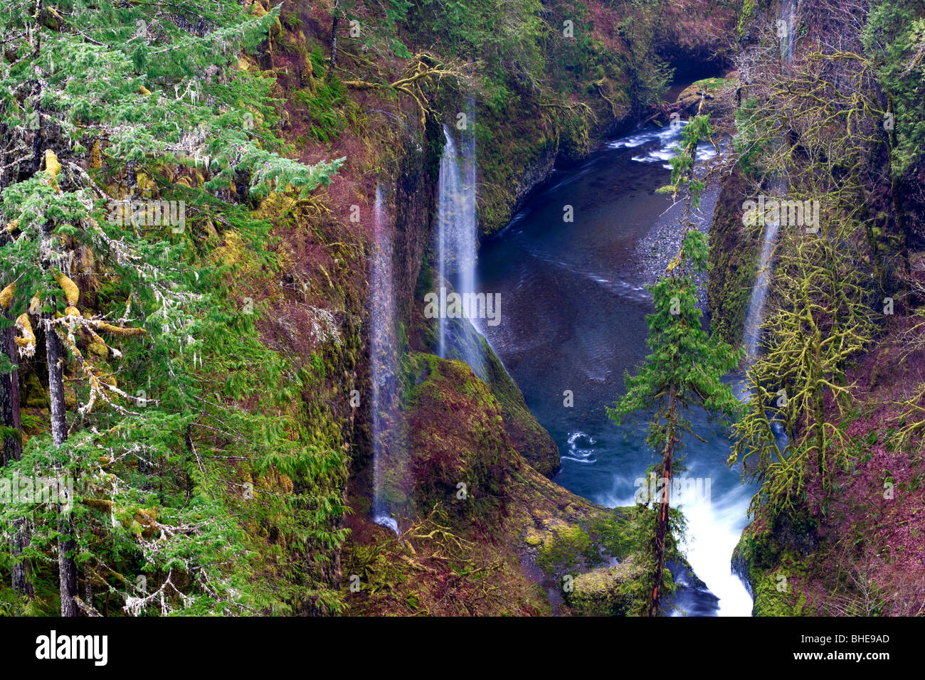 Cascades saisonnières couler dans Oregon's Eagle Creek Canyon et la gorge du Columbia. Banque D'Images