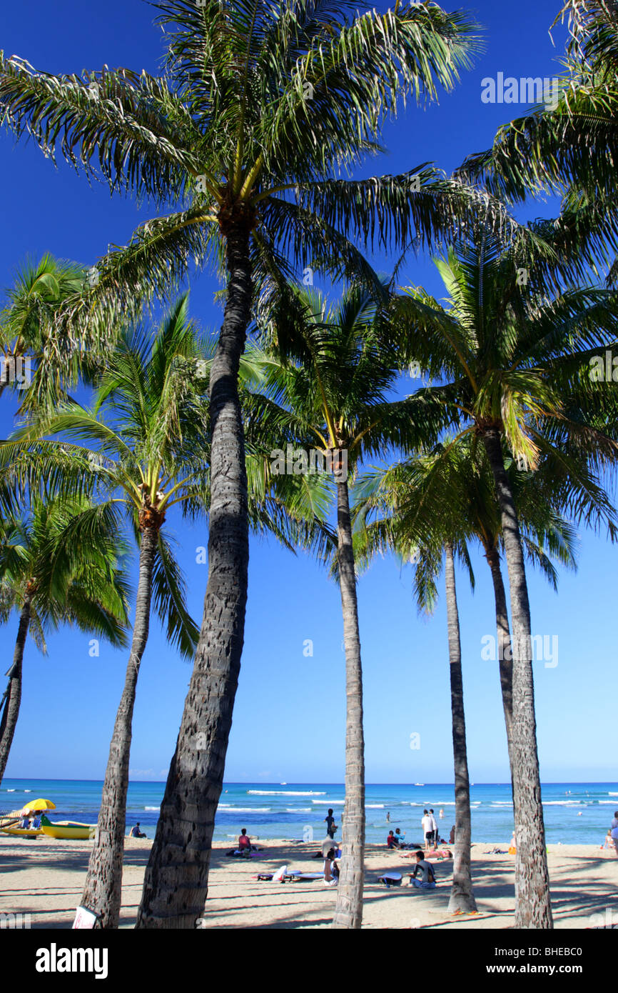 Image de la plage de Waikiki, Honolulu, Oahu, Hawaii Banque D'Images