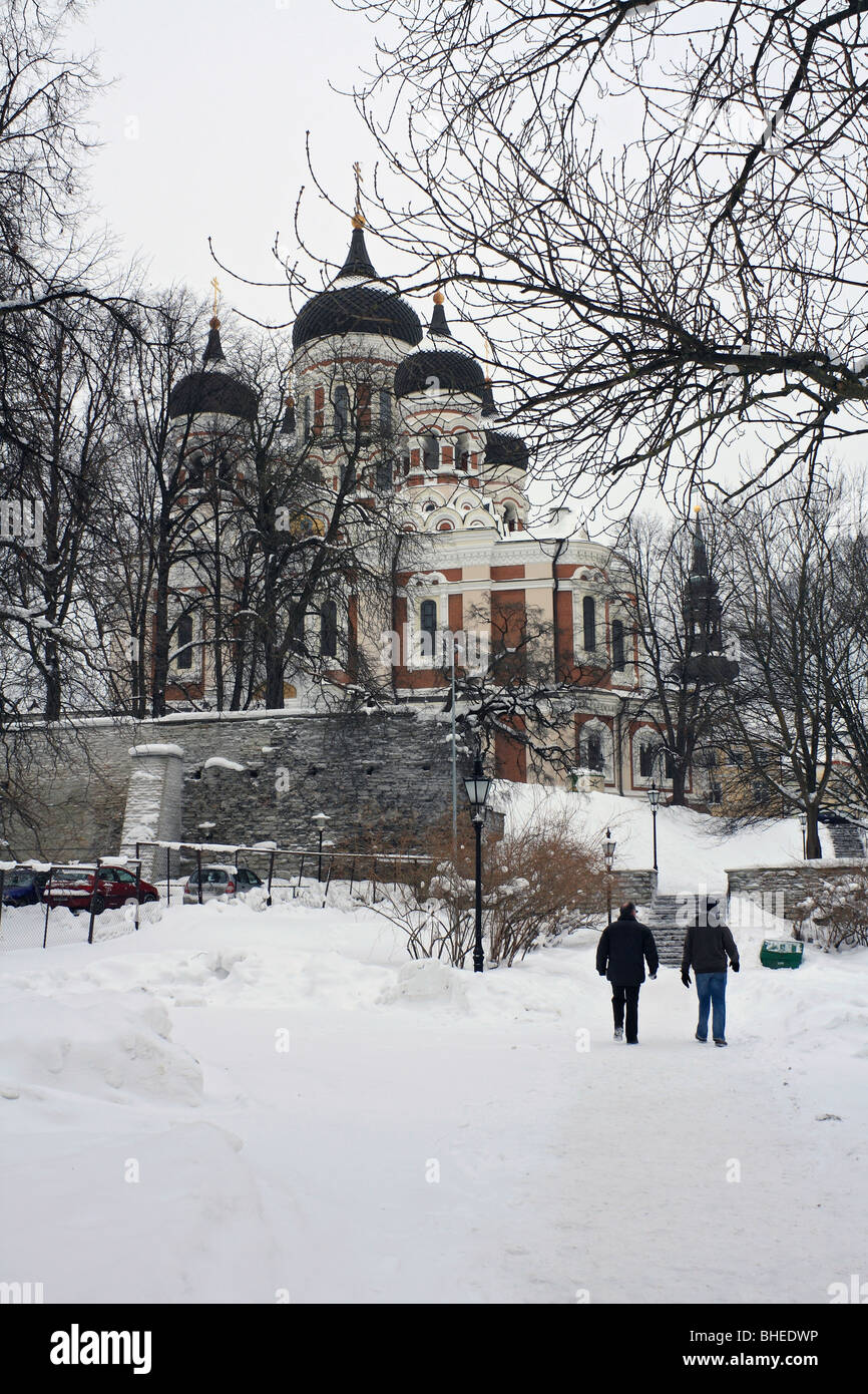 Vue sur la cathédrale Alexandre Nevsky de Danois du Jardin du Roi, dans le district de Toompea de la vieille ville de Tallinn, Estonie. Banque D'Images