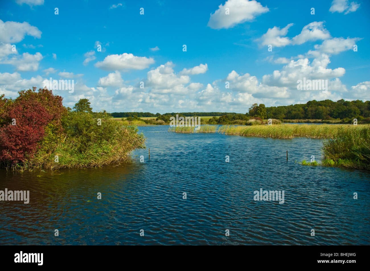 Bords de la rivière Peene, près de Demmin, Mecklembourg-Poméranie-Occidentale, Allemagne, Europe | Peene, bei Demmin Banque D'Images