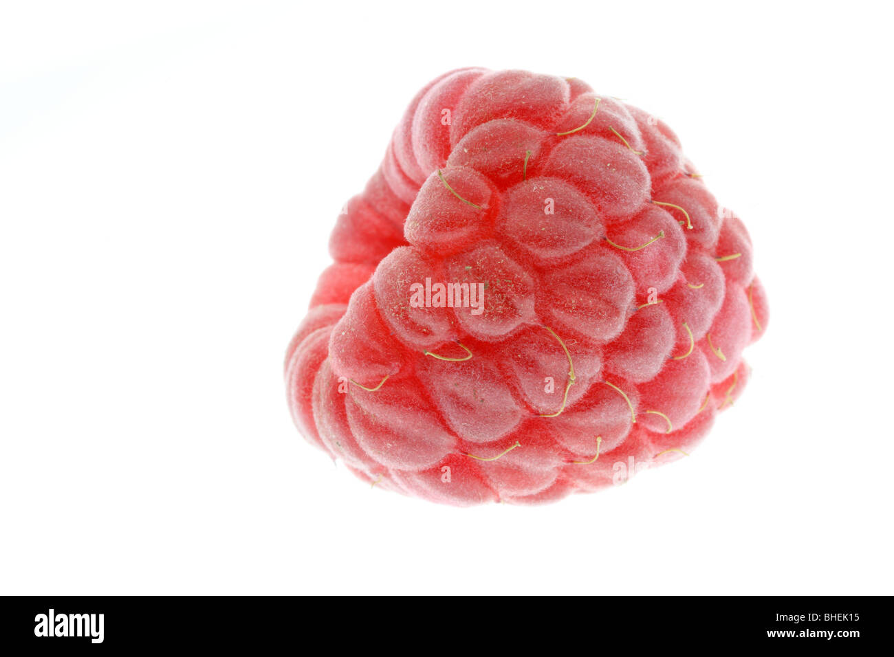 Prises de framboise sur un fond blanc. Banque D'Images