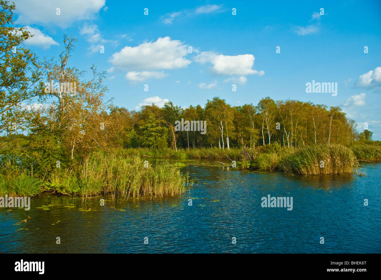 Banque du fleuve Peene, près de Demmin, Mecklembourg-Poméranie-Occidentale, Allemagne, Europe | Peene, bei Demmin Banque D'Images