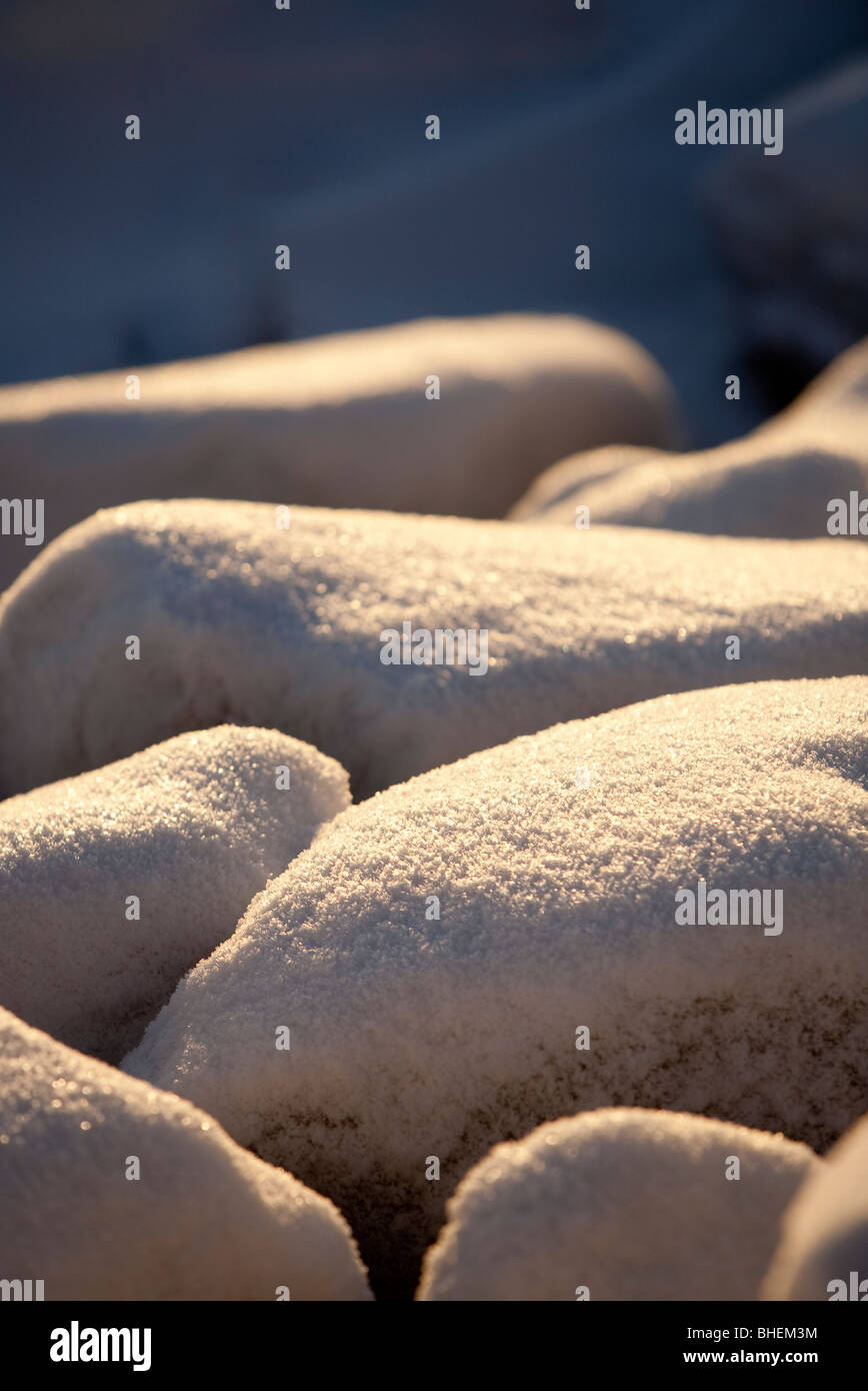 Des pierres couvertes de neige Banque D'Images