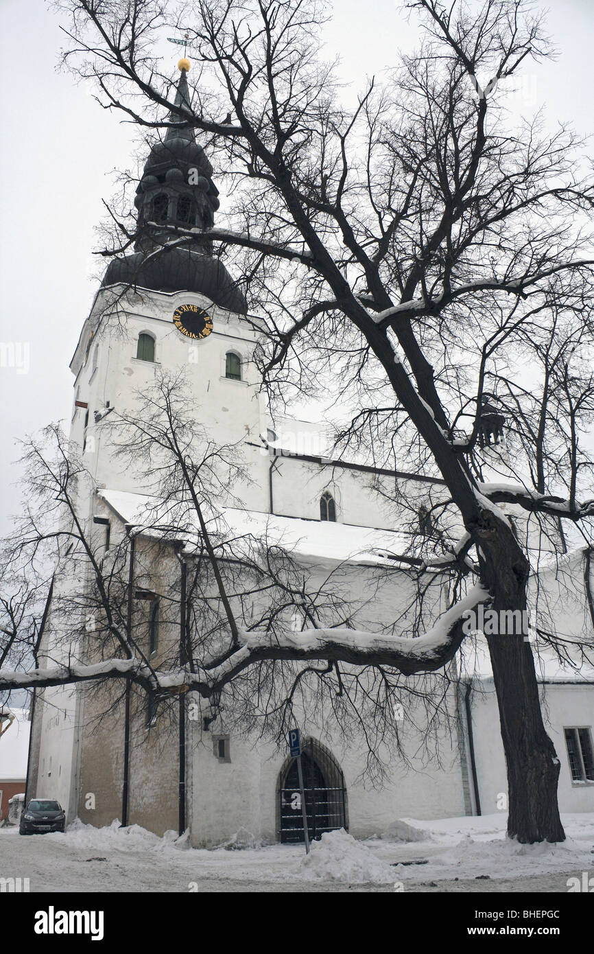 Cathédrale de Sainte Marie la Vierge ou l'Eglise du Dome de la rue Toom-Kooli le district de Toompea, la vieille ville de Tallinn, Estonie. Banque D'Images