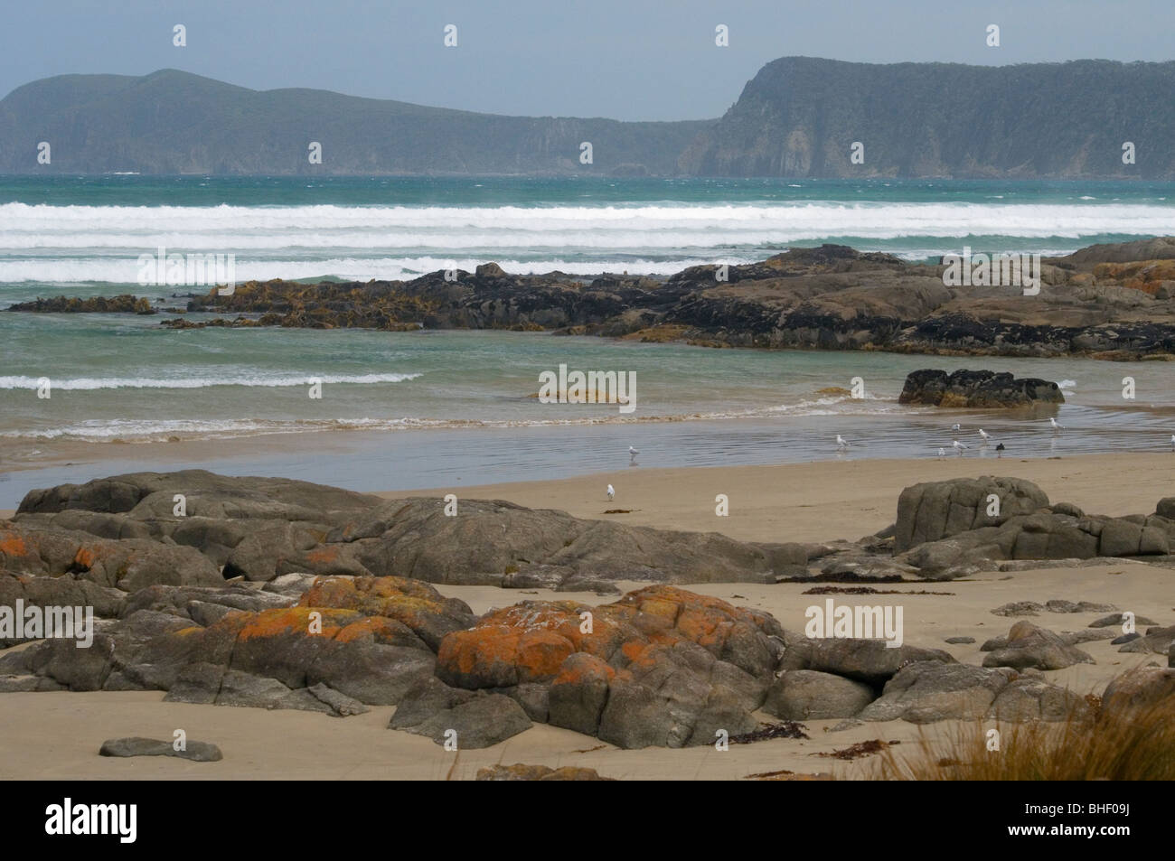 Cloudy Bay, Bruny Island, Tasmanie, Australie Banque D'Images