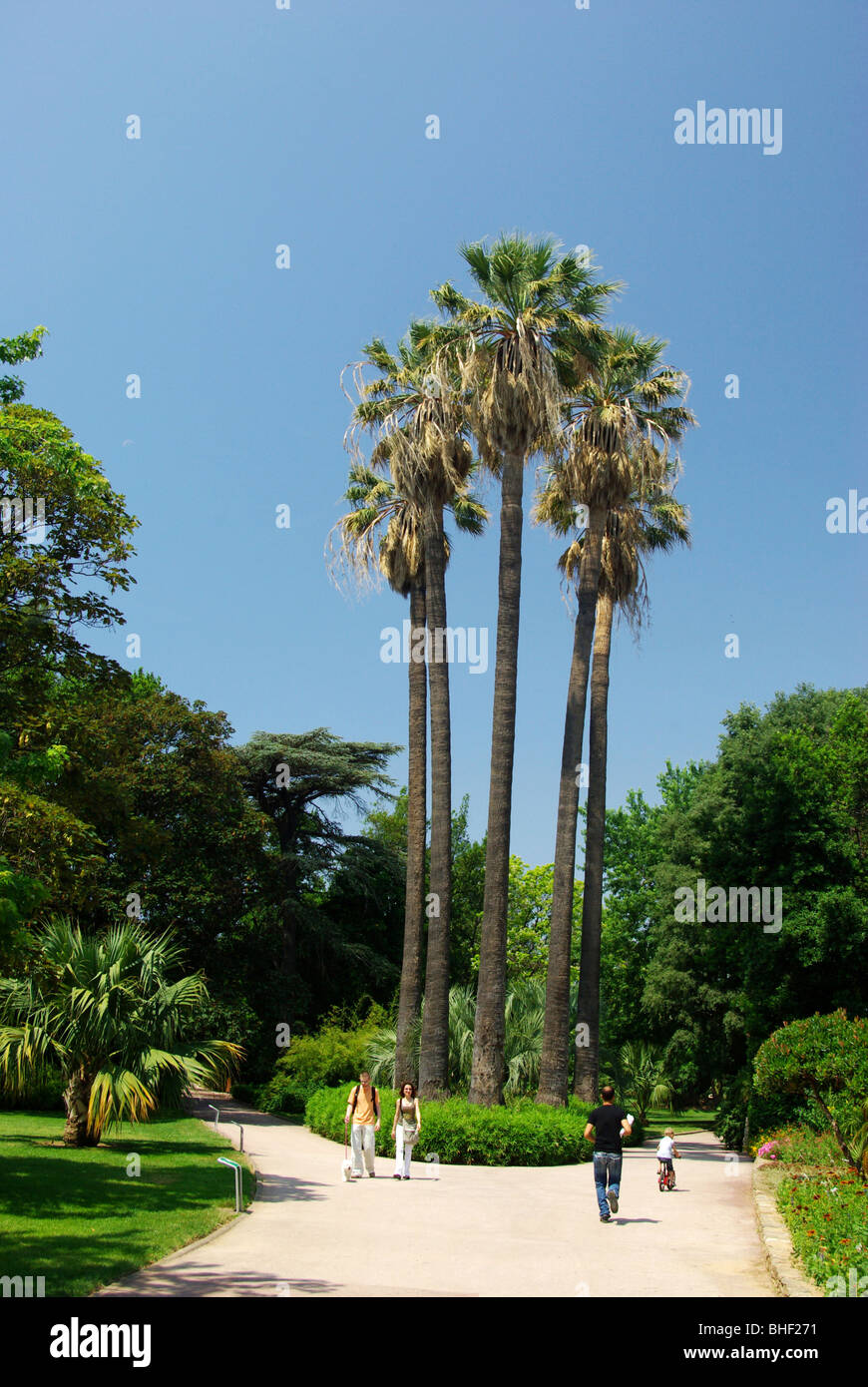 Hyères (83) : Olbus Riquier Jardin Exotique Banque D'Images