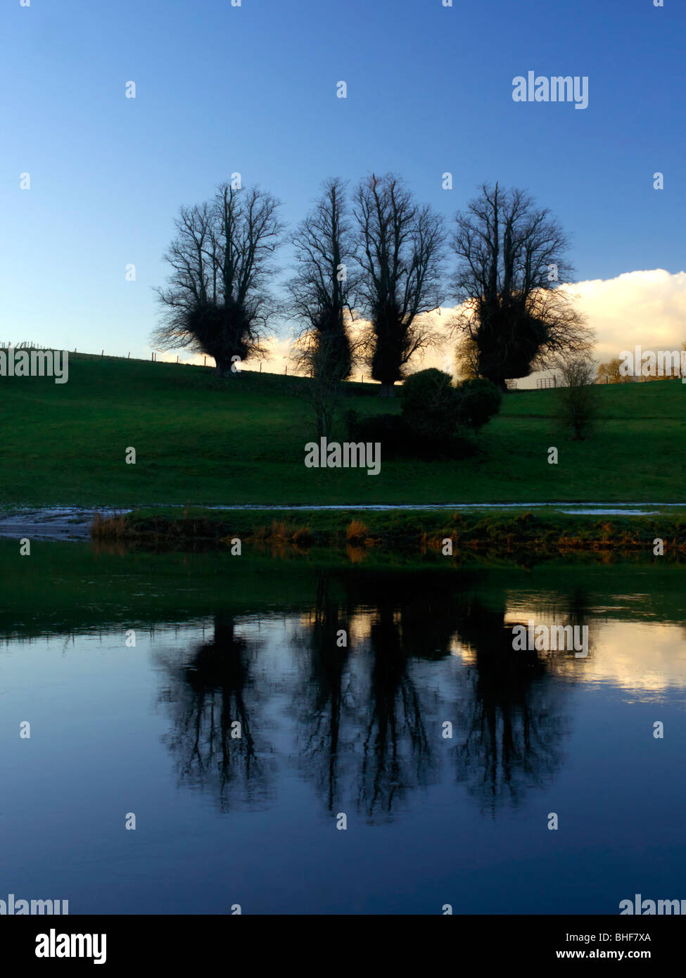 Sillhoutted les arbres sur les rives de la rivière Boyne Irlande Slane Banque D'Images