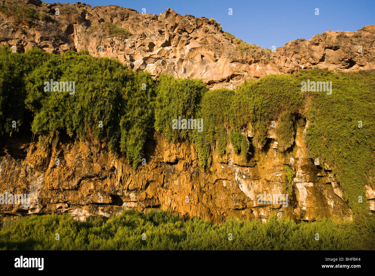 À voir avec cascade tufs calcaires, Barranco de los Molinos, Parque Natural de Corralejo, Fuerteventura, Iles des Canaries Banque D'Images