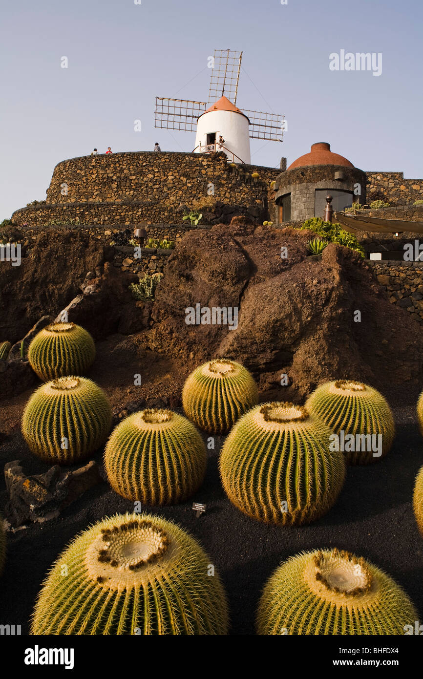 Moulin à vent et les cactus, jardin botanique Jardin de cactus, artiste et architecte César Manrique, Guatiza, Réserve de biosphère de l'UNESCO, Banque D'Images