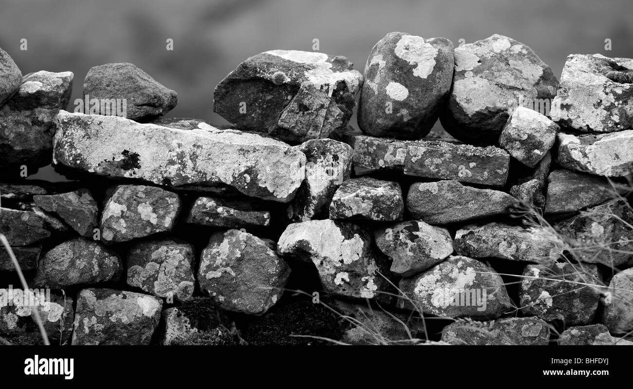 Mur de pierres sèches, Coverdale, Nr Leyburn, le nord de l'Angleterre Banque D'Images