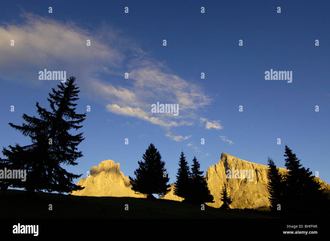 Les conifères et les montagnes ensoleillées dans la soirée, Val Gardena, Tyrol du Sud, Italie, Europe Banque D'Images