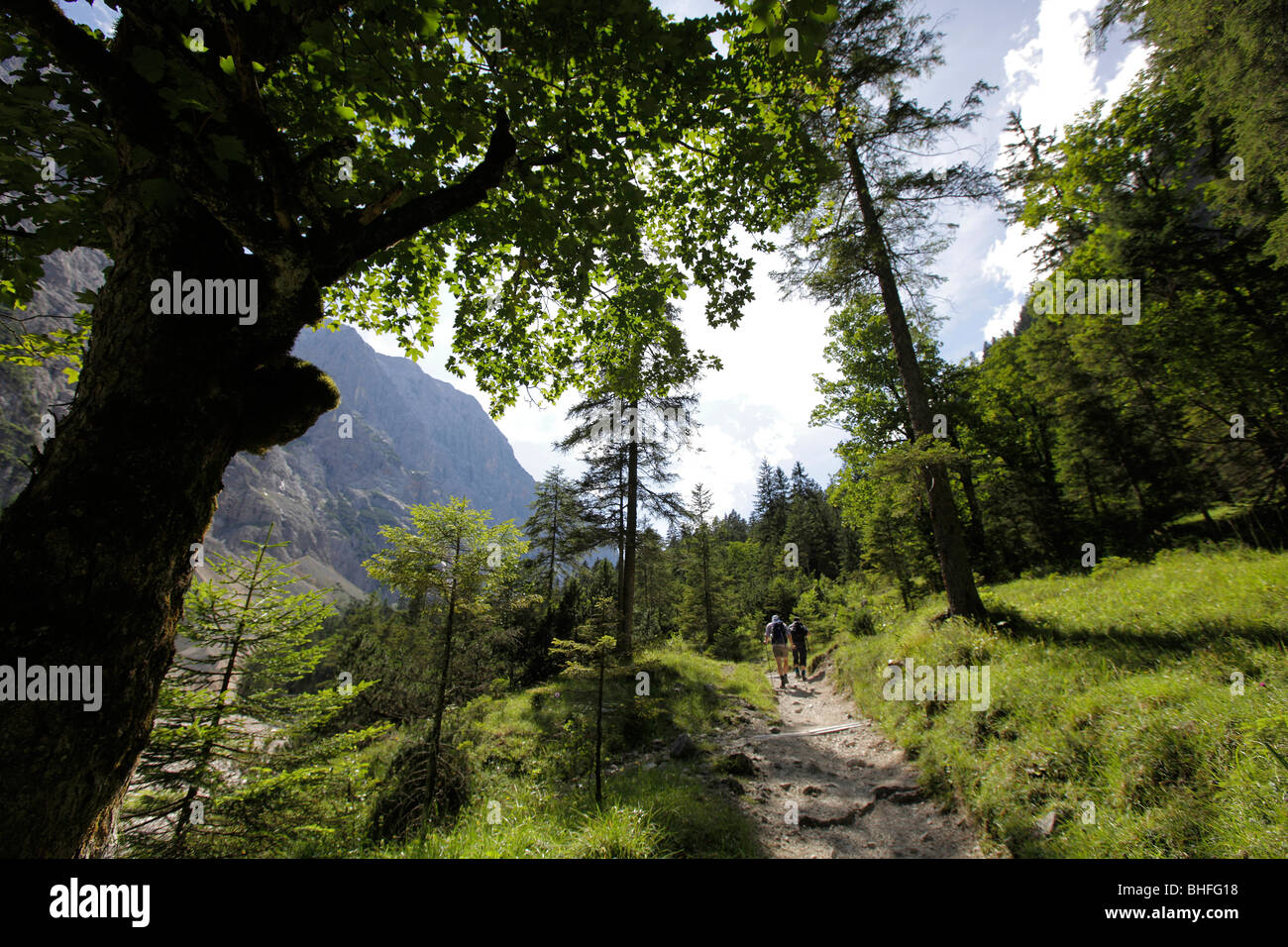 Sentier de randonnée au mont Zugspitze, Rein Valley, près de Garmisch, Bavière, Allemagne Banque D'Images