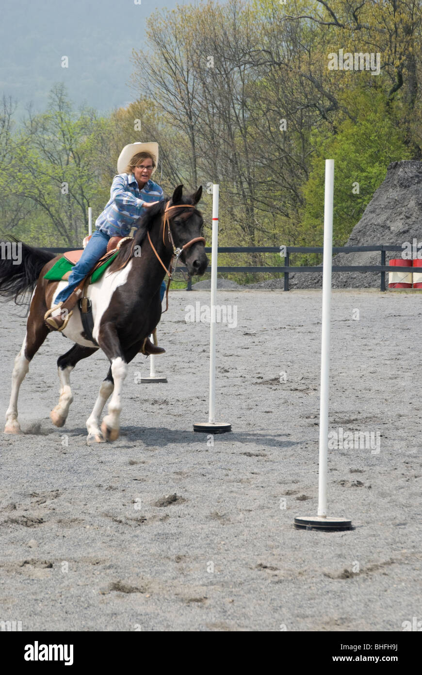 Photo du cavalier au cheval en passant par les pôles dans le cadre d'un concours. Banque D'Images