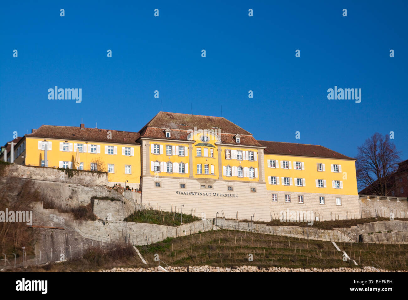 Staatsweingut Meersburg - Lac de Constance (Bodensee), Allemagne Banque D'Images