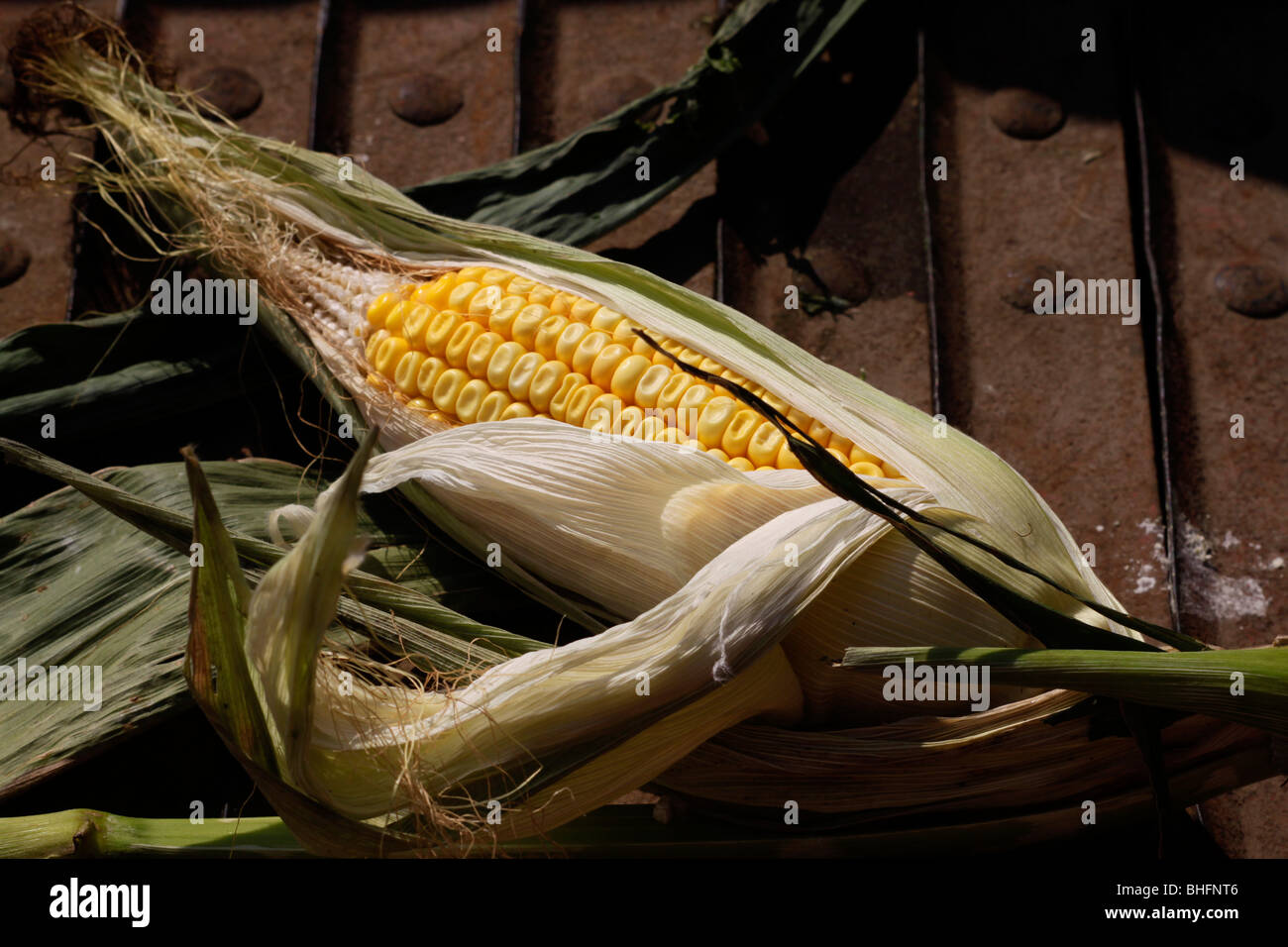 Cosses de blé Photo Stock - Alamy