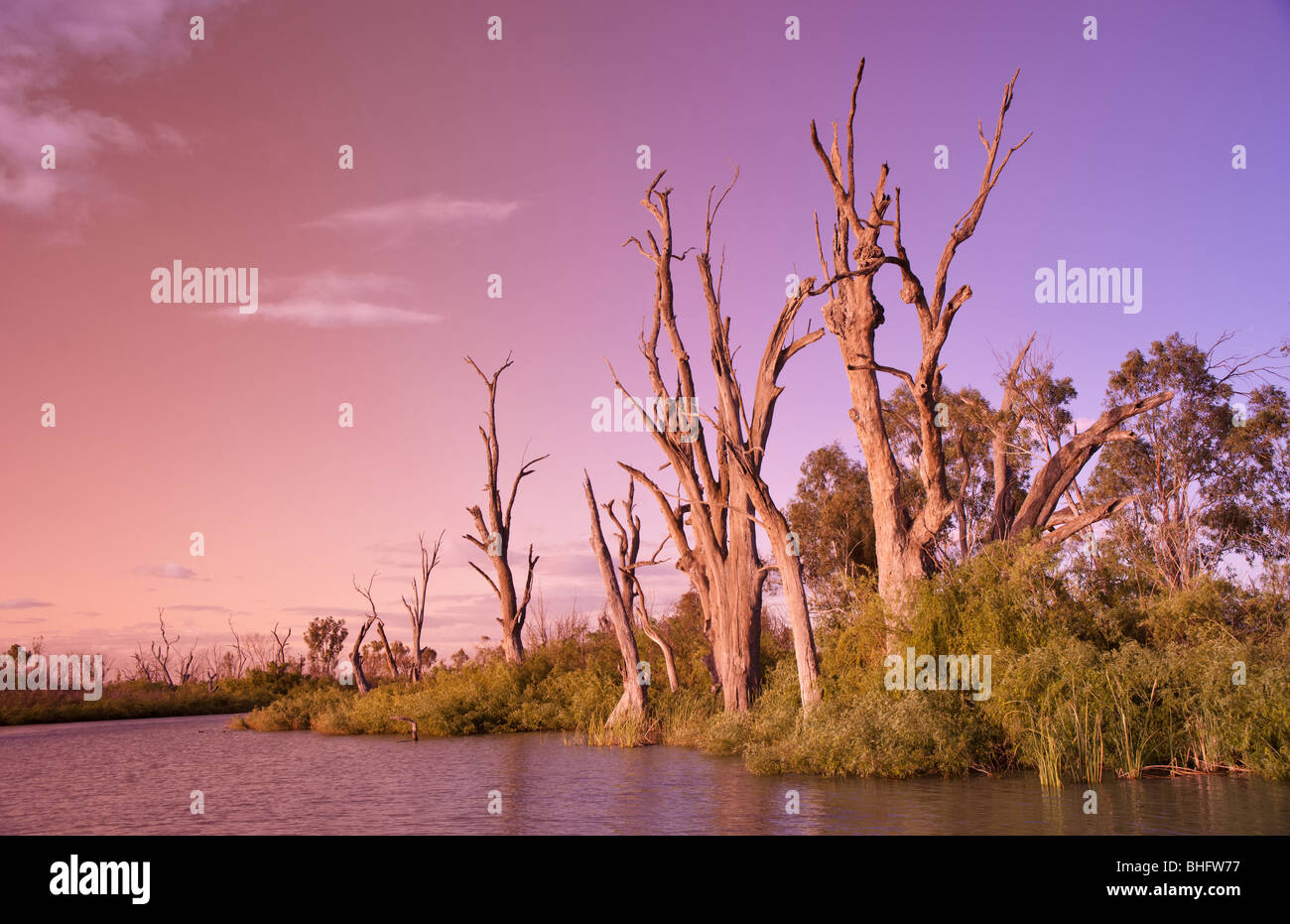 Belle image de coucher de soleil sur la rivière Murray en Australie du Sud Banque D'Images