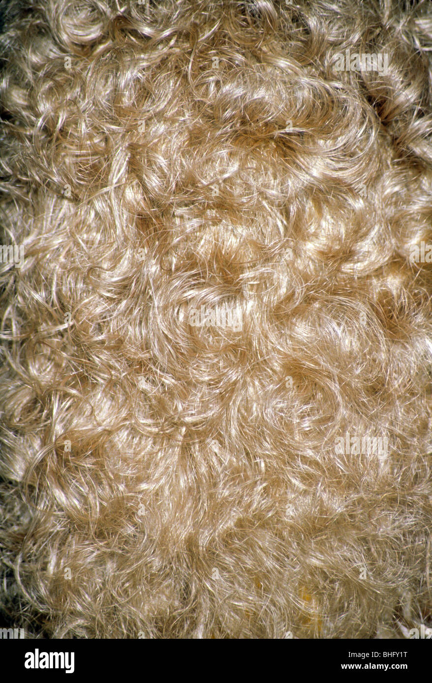 Perruque cheveux blonds brillant javel boucles Photo Stock - Alamy