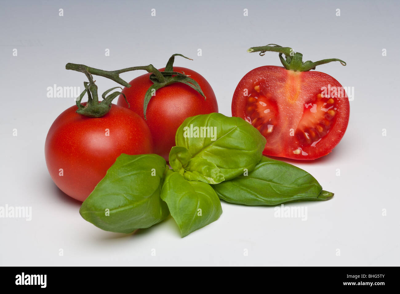 Herb Tomate et basilic sur un fond uni Banque D'Images