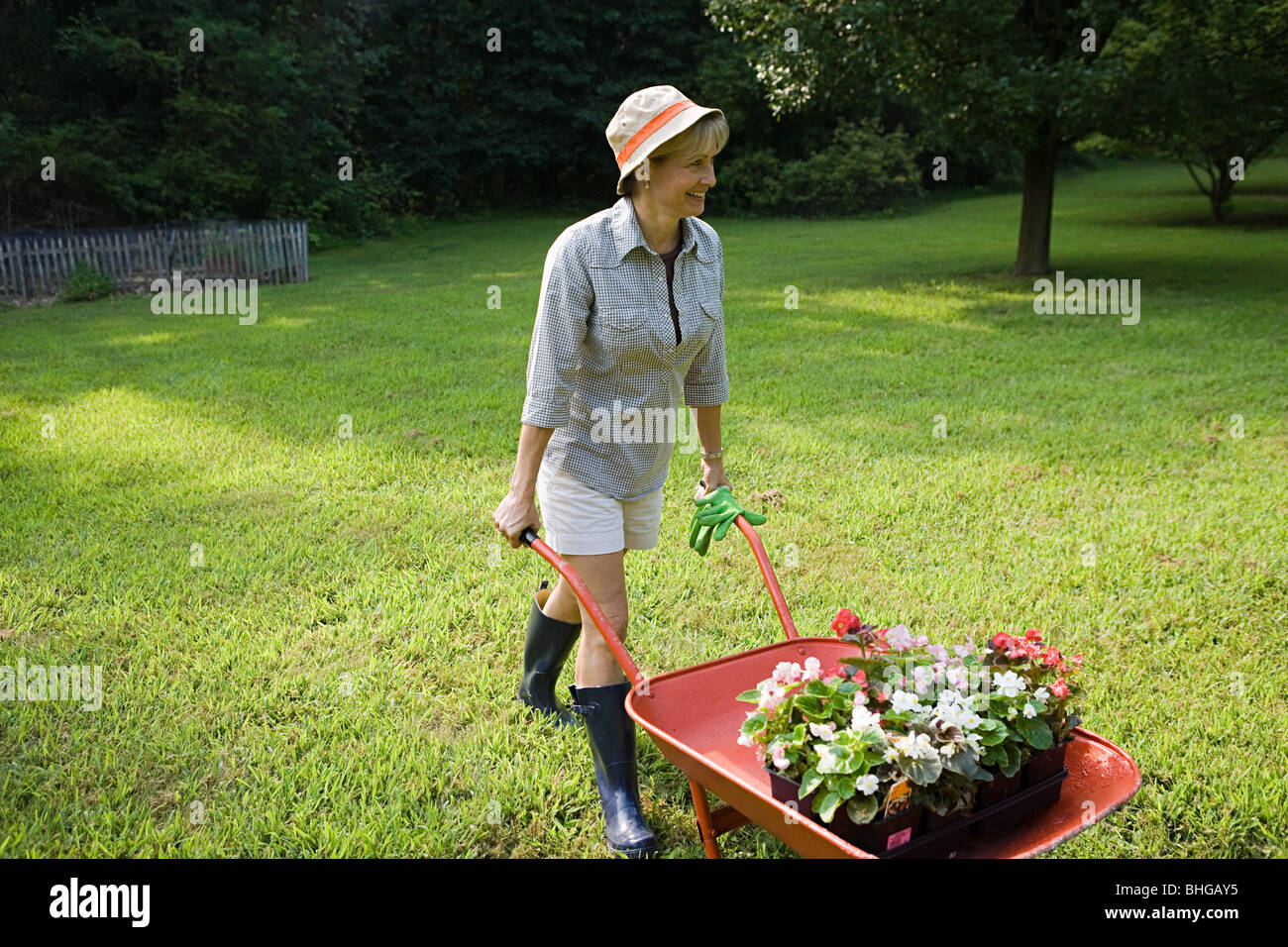 Femme avec brouette de plantes Banque D'Images