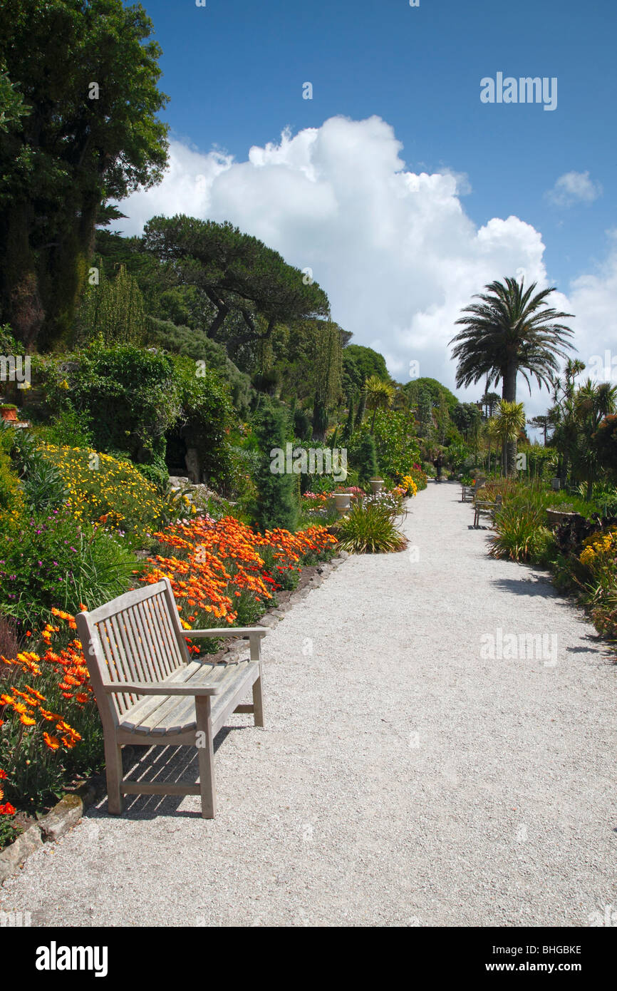 Jardins de l'abbaye de Tresco, Îles Scilly, Cornwall UK. Banque D'Images