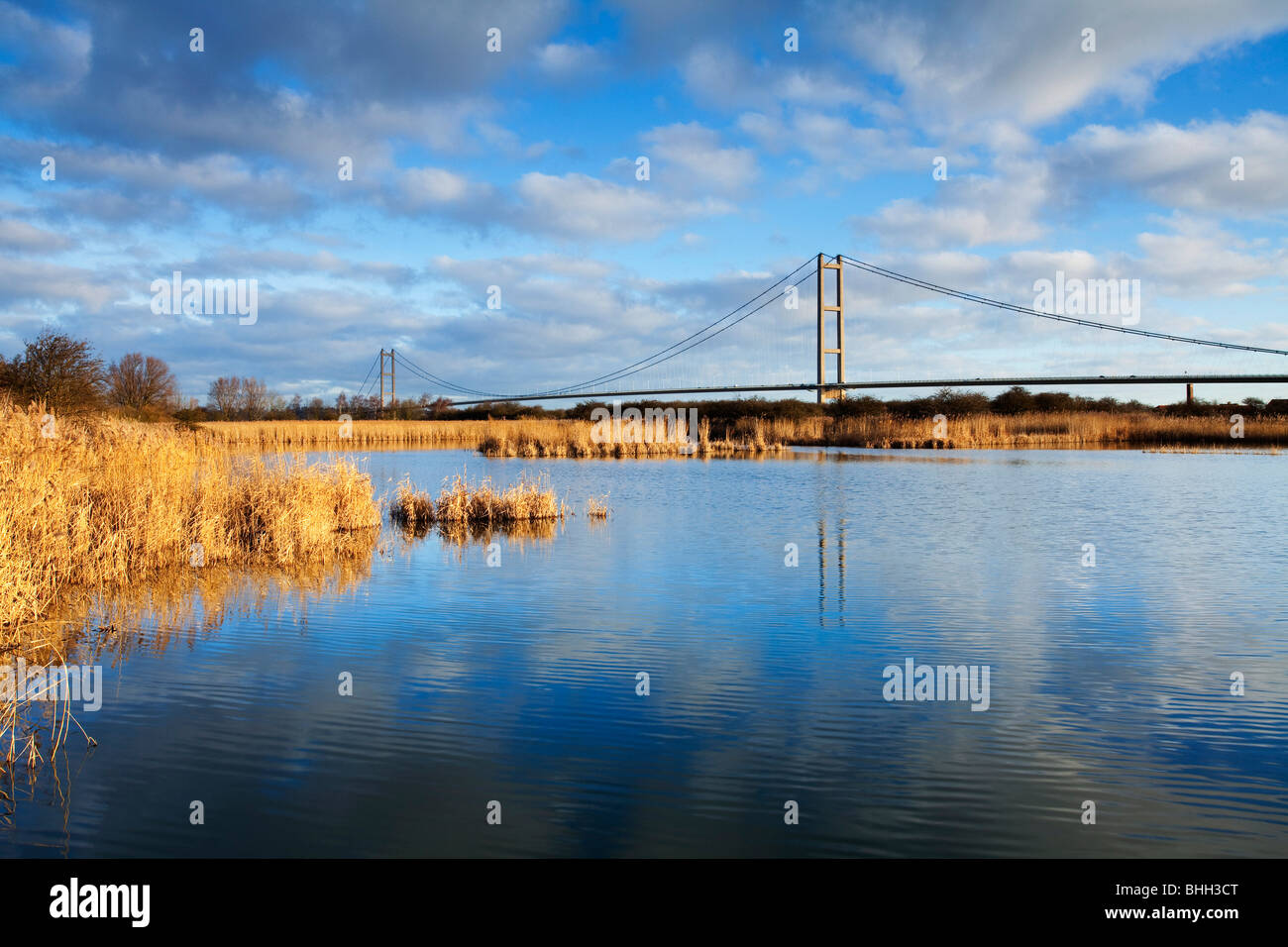 Le Humber Bridge vu de l'Extrême Ings National Nature Reserve à Barton-upon-Humber sur un matin ensoleillé Banque D'Images