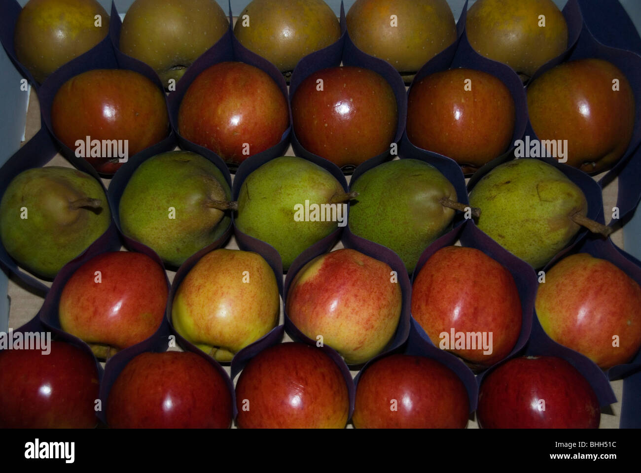 Une sélection de pommes et poires Banque D'Images