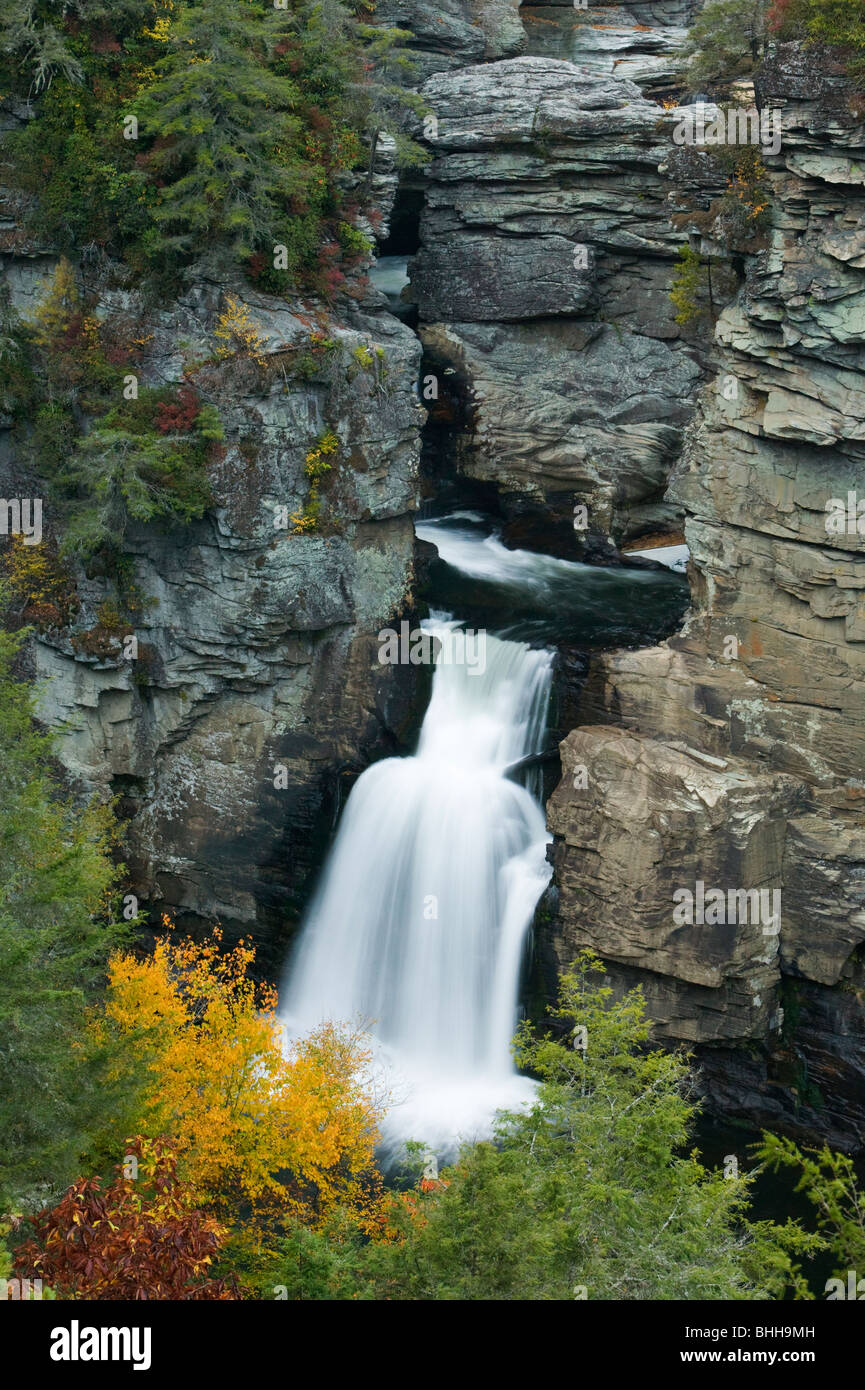 Une chute dans les montagnes des Appalaches, USA. Banque D'Images