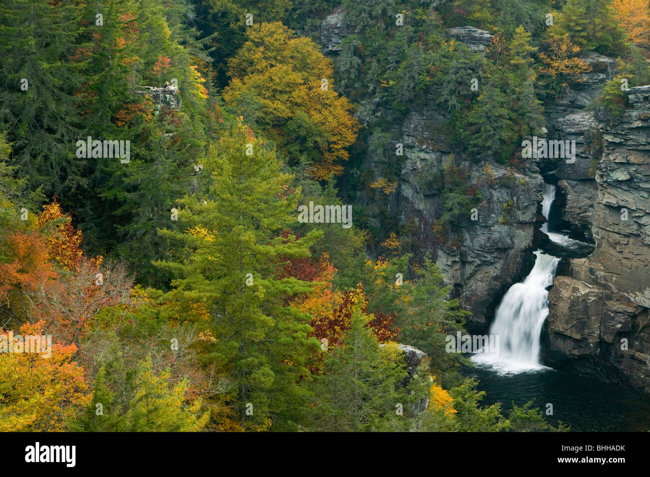 Une chute dans les montagnes des Appalaches, USA. Banque D'Images
