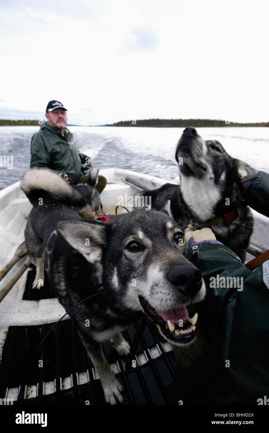 Les chasseurs et les chiens dans un bateau, la Suède. Banque D'Images