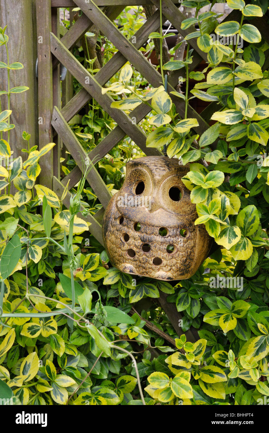Euonymus fortunei (réducteur d'hiver 'Emerald'n gold') avec owl figure. design : Marianne et detlef lüdke Banque D'Images