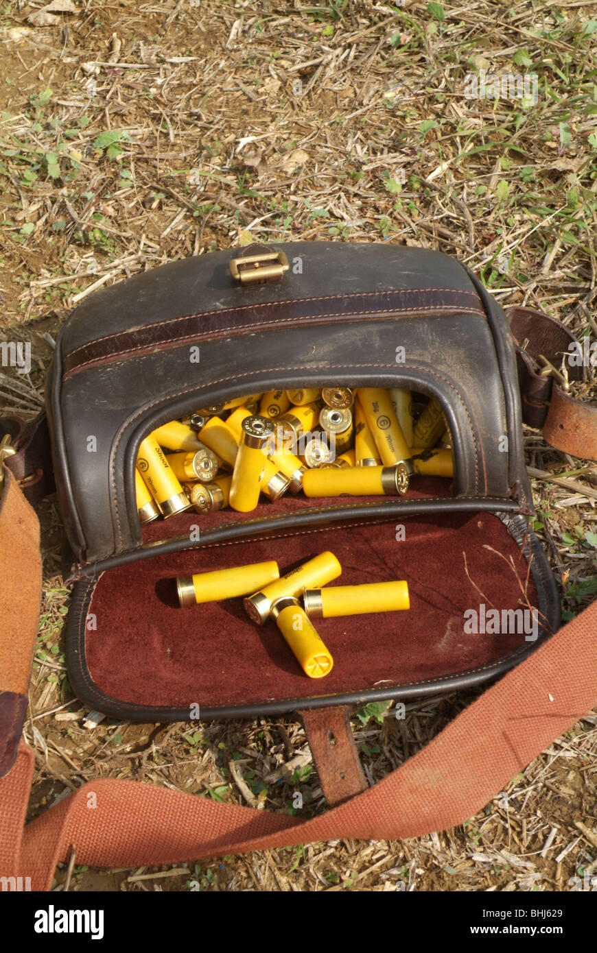 Un sac de cartouches de fusil de chasse Banque D'Images