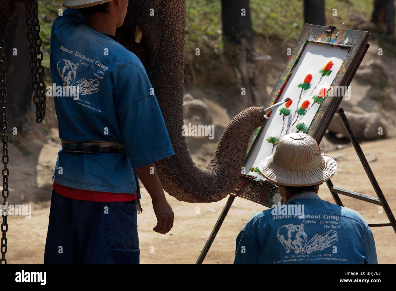 La peinture de l'éléphant d'Asie, d'art, d'art, animaux, design, illustration, Scénario, dessin, une couleur de l'eau d'une plante peint par elephant en Thaïlande. Banque D'Images La peinture de l'éléphant d'Asie, d'art, d'art, animaux, design, illustration, Scénario, dessin, une couleur de l'eau d'une plante peint par elephant en Thaïlande. Banque D'Images