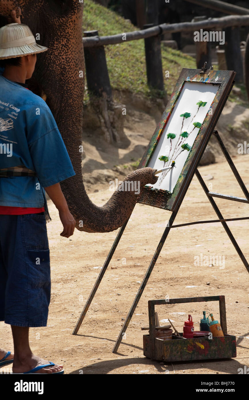 La peinture de l'éléphant d'Asie, d'art, d'art, animaux, design, illustration, Scénario, dessin, une couleur de l'eau d'une plante peint par elephant en Thaïlande. Banque D'Images