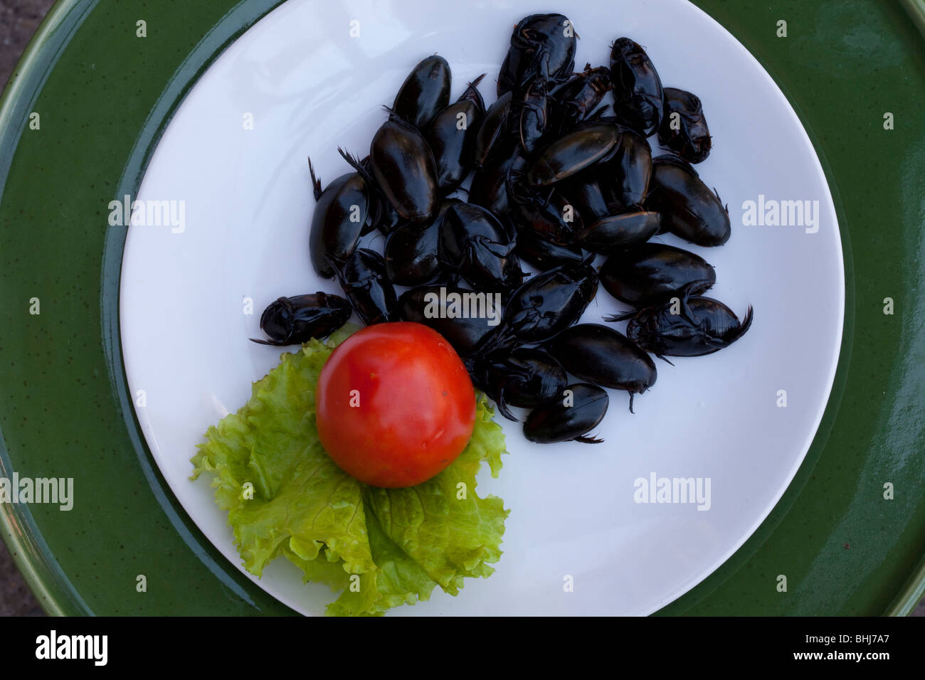 'Bush Tucker' repas assiette de frites, manger des insectes comestibles, bug, nutrition, savoureux, bio, tel que vendu au décrochage en bordure de Chiang Mai, Thaïlande du Nord Asie Banque D'Images