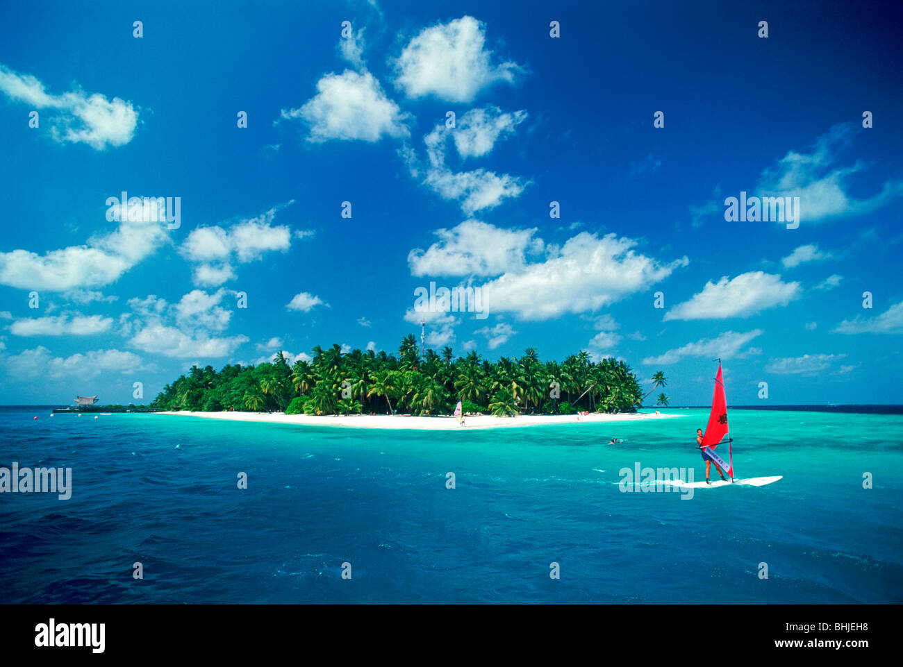 Royal Palm avec voile de vent dans les Maldives Banque D'Images