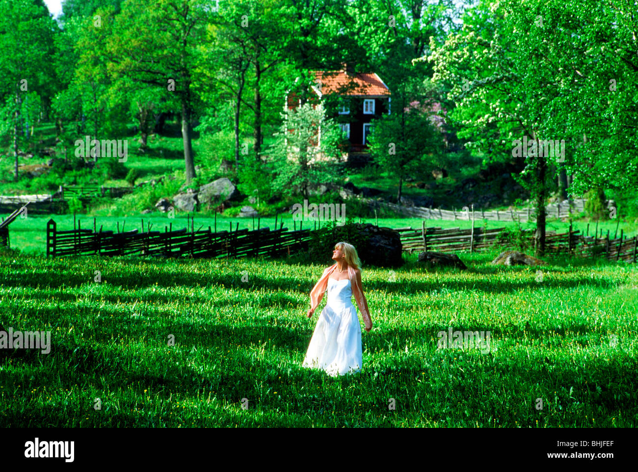Femme blonde en robe blanche d'été traversée de champs d'herbe verte en Suède Banque D'Images