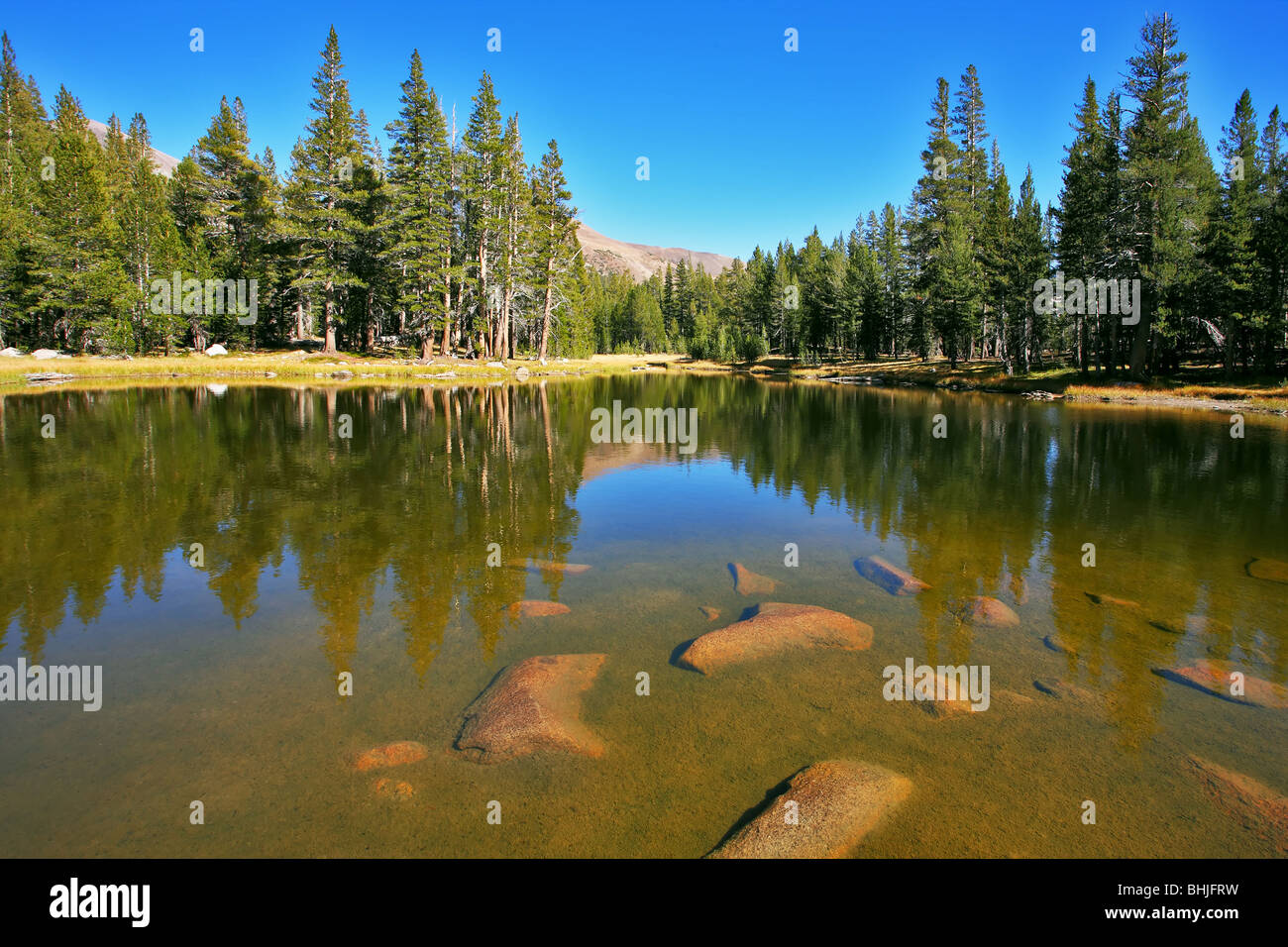 Le magnifique lac entouré d'arbres à fourrure, dans le parc national de Josemite sur route à Tioga pass Banque D'Images