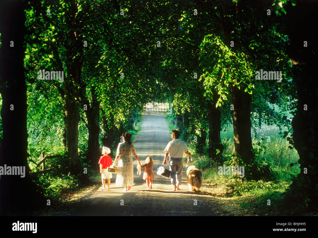 Famille de 5 personnes avec chien en route de campagne bordée d'arbres en Suède Banque D'Images