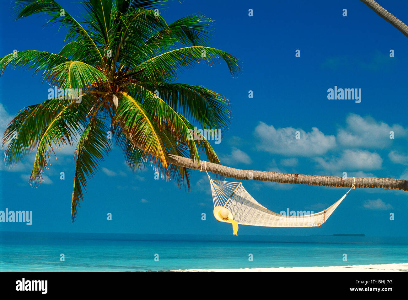 Hat reposant sur hamac blanc enfilés sous palm tree trunk sur Sandy Shores Banque D'Images