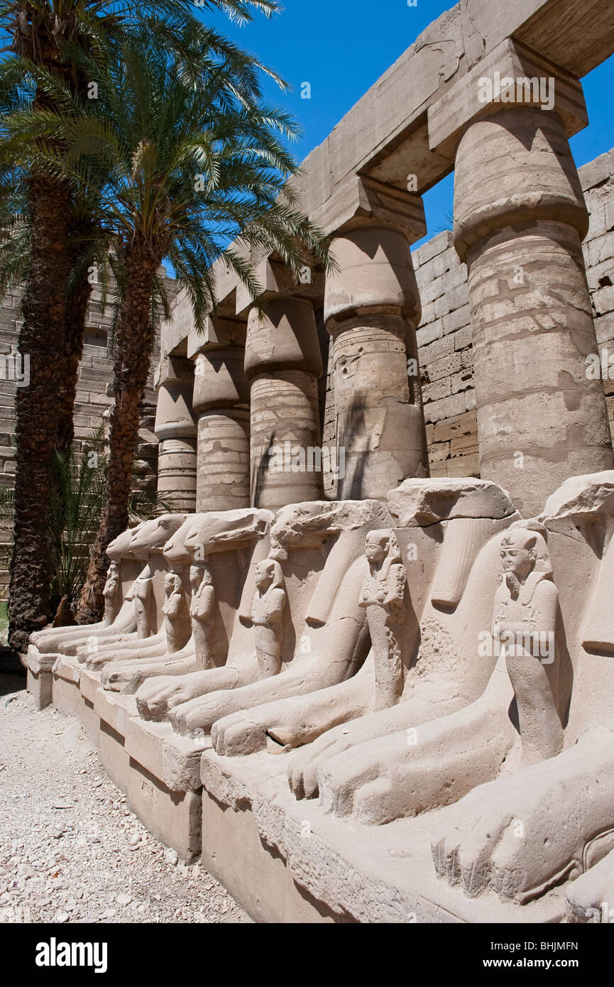 Sphinx tête Ram dans la grande cour, Karnak Temple Complex Banque D'Images