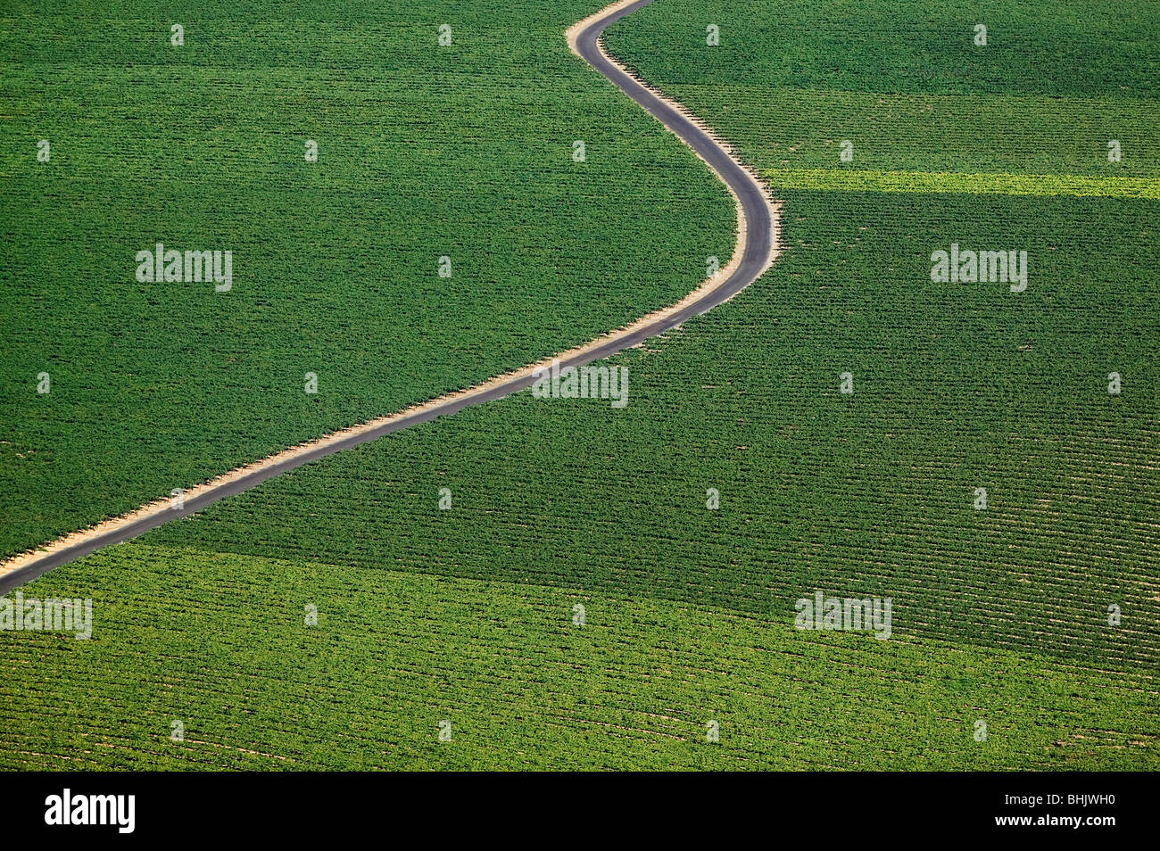Vue aérienne au-dessus de l'aqueduc de Californie vallée centrale les champs agricoles Banque D'Images