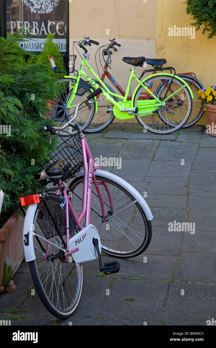 Des vélos de couleur vive en Italie, Toscane, Lucca, la Piazza Anfiteatro Banque D'Images