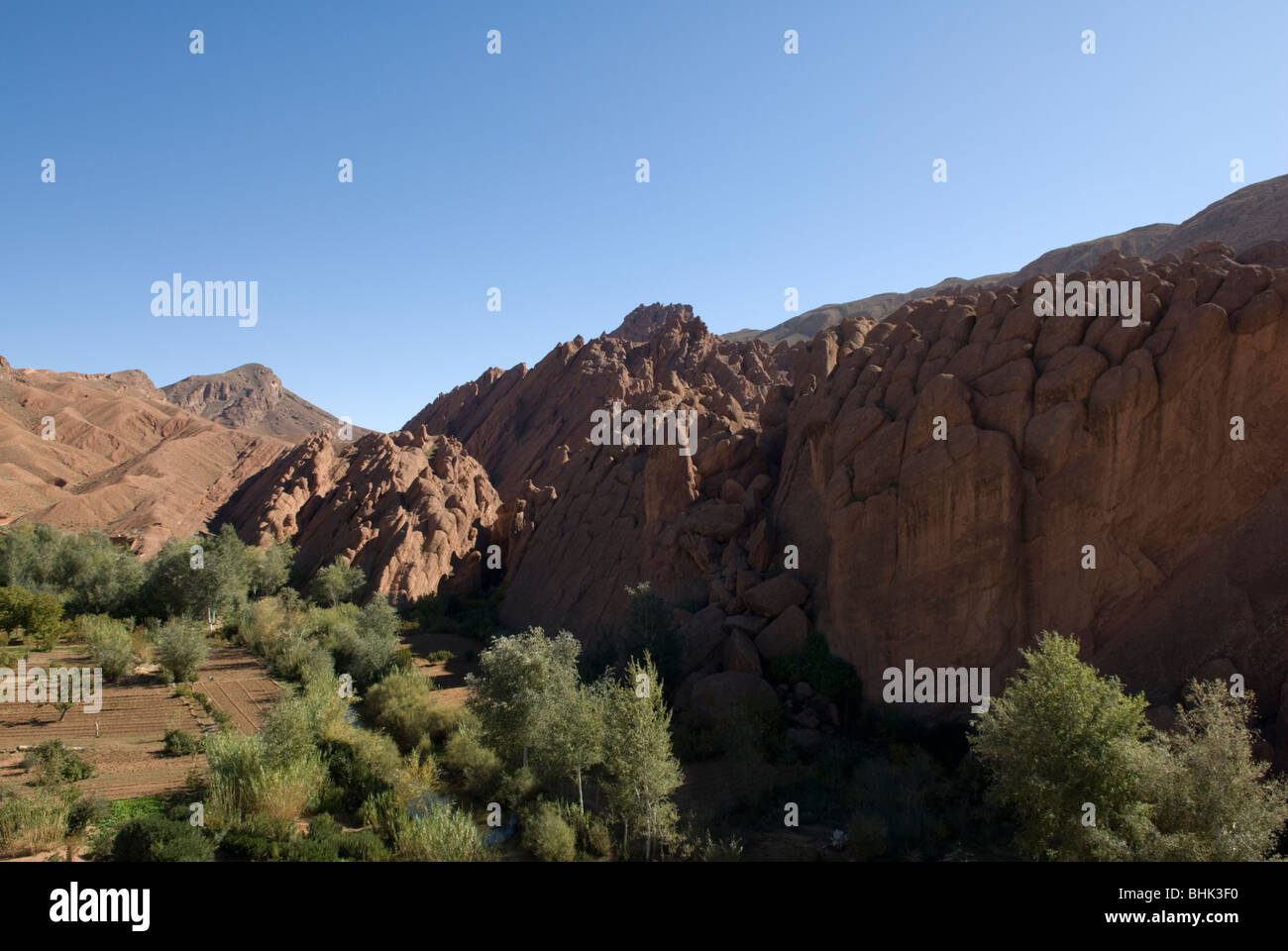Les doigts de singe (Doigts de singes), des formations rocheuses, des montagnes du Haut Atlas, au Maroc. Banque D'Images