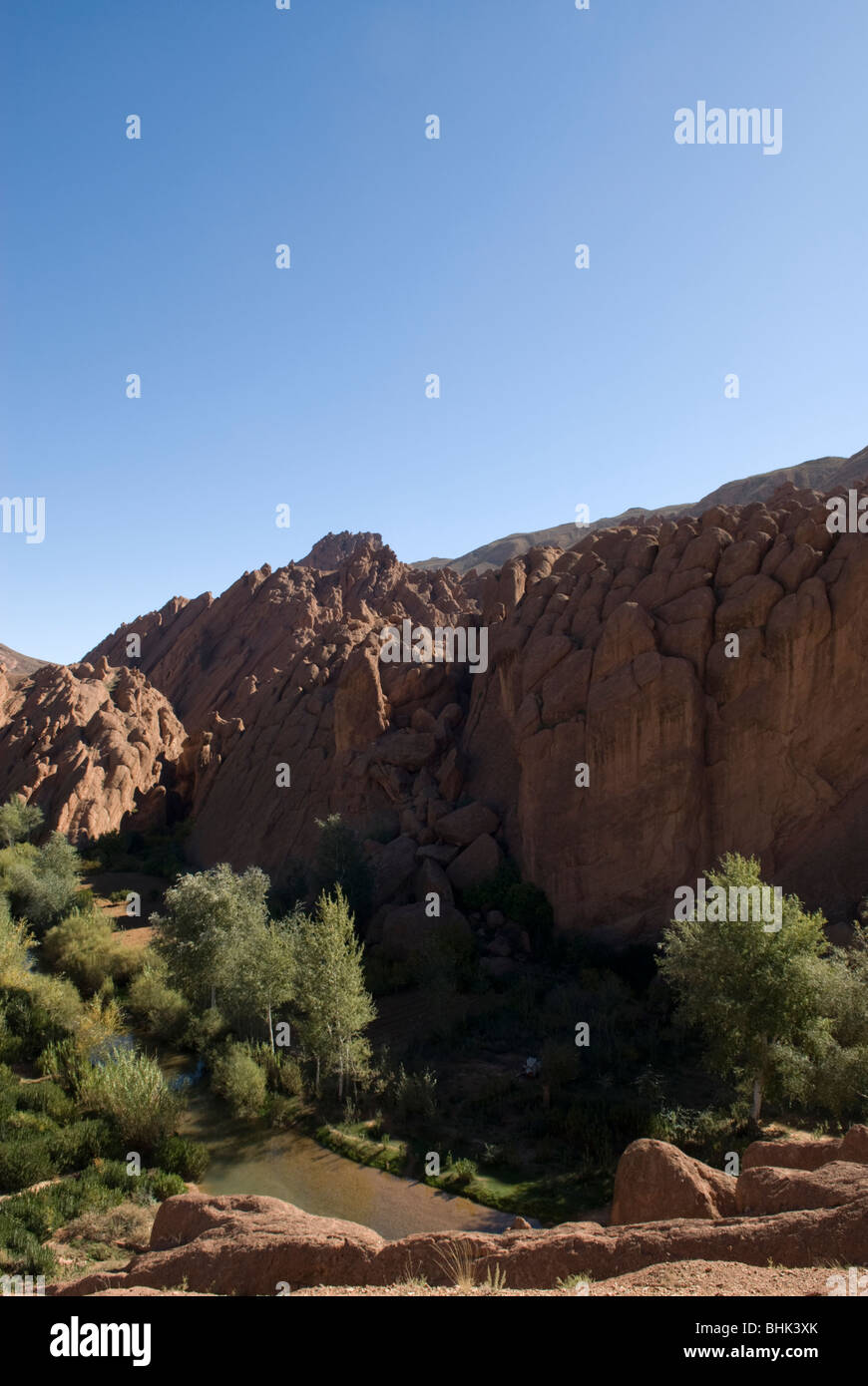Les doigts de singe (Doigts de singes), des formations rocheuses, des montagnes du Haut Atlas, au Maroc. Banque D'Images