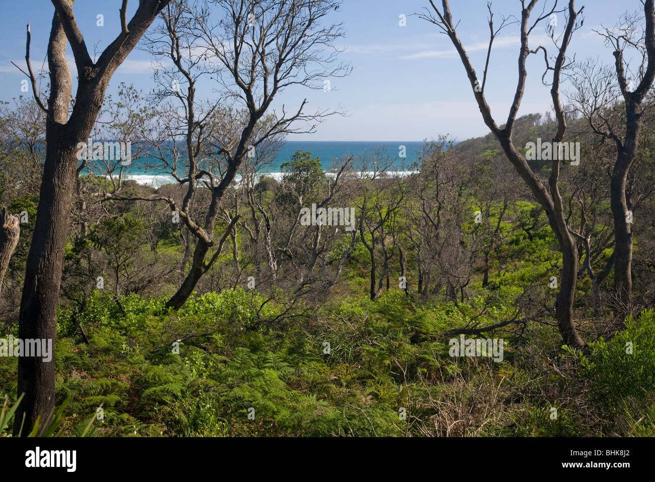 Wreck Bay est un village de Jervis Bay Territory, en grande partie habitée par les autochtones, New South Wales, Australie Banque D'Images