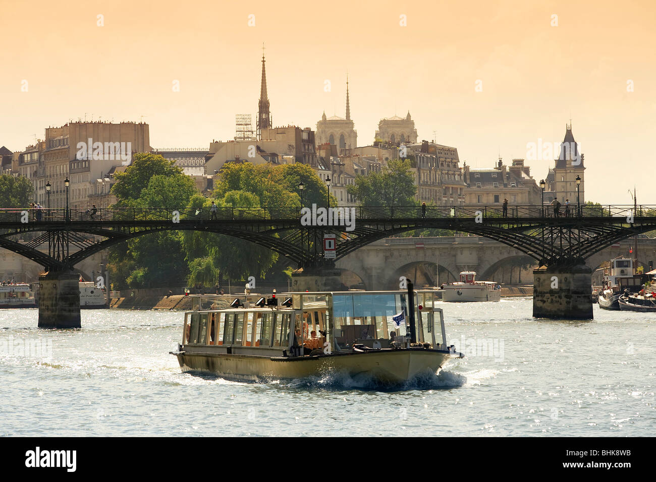 Excursion en bateau SUR LA SEINE, PARIS Banque D'Images
