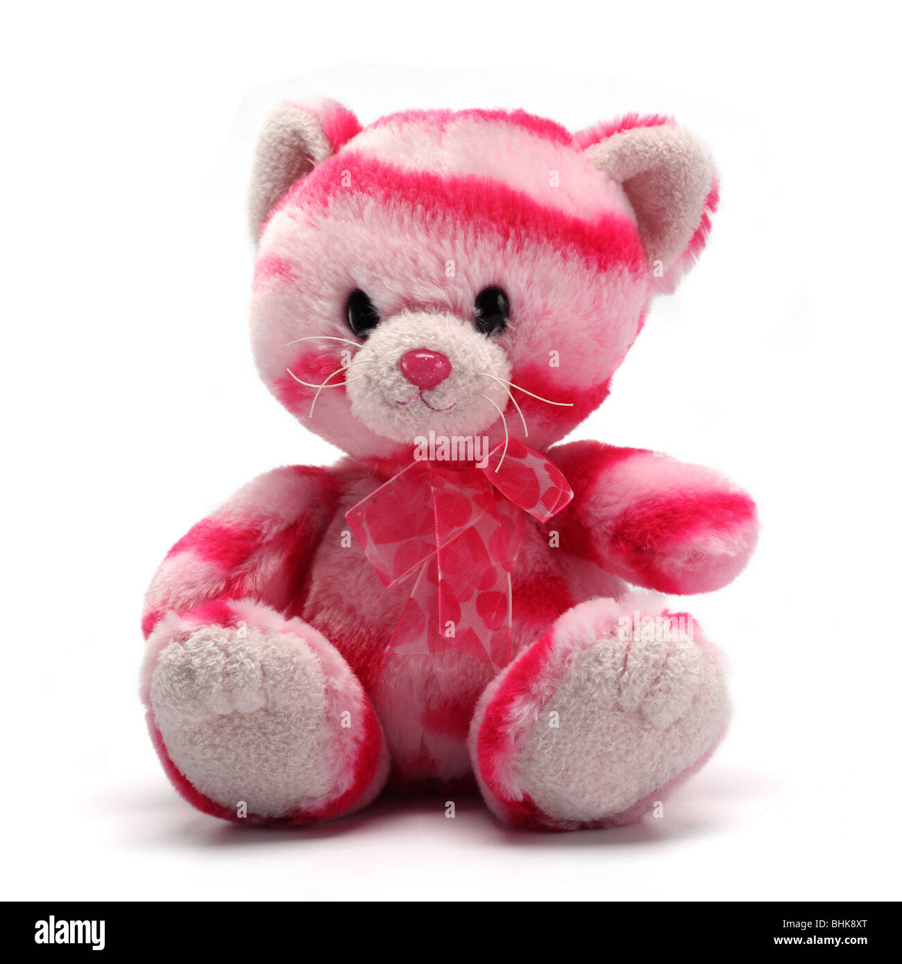 Peluche peluche chat Banque D'Images